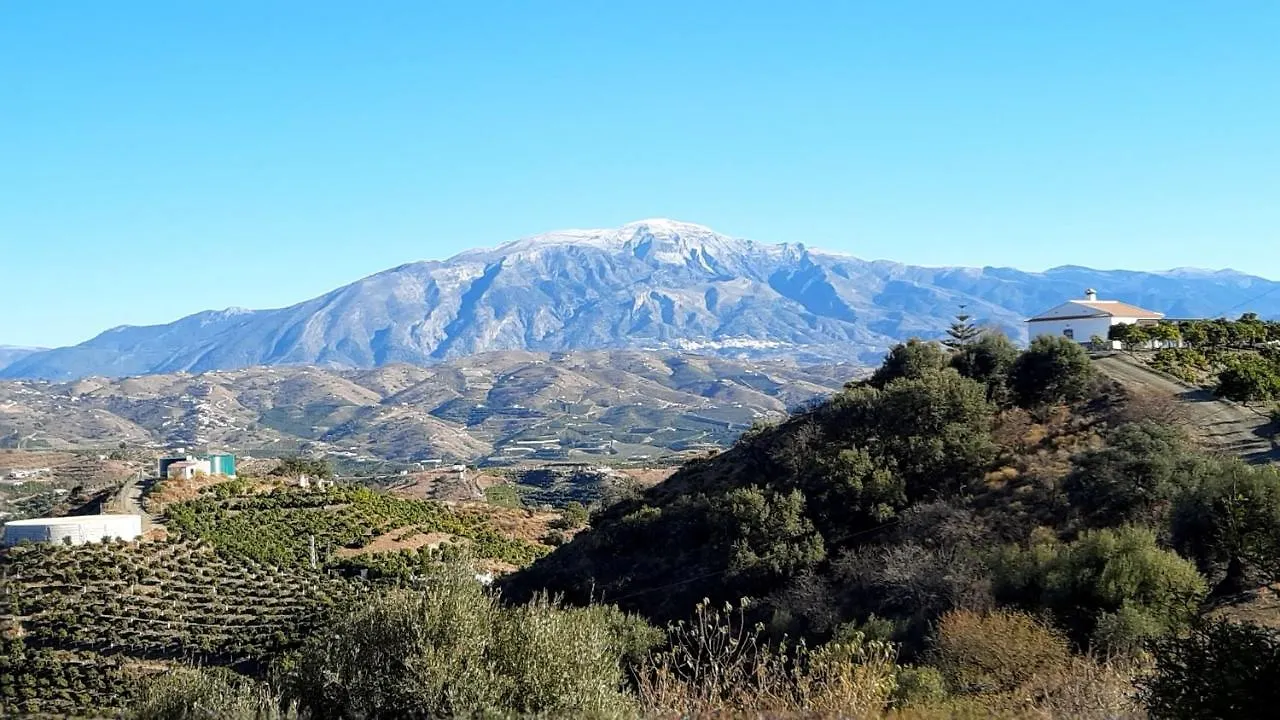 Casa Montana Velez-Malaga B&B Panzió Vélez-Málaga